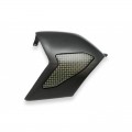 CNC Racing Carbon Fiber / Kevlar Swingarm Cover for Ducati Panigale V4 / S / R / Speciale CNC Racing Carbon Fiber / Kevlar Swingarm Cover for Ducati Panigale V4 / S / R / Speciale